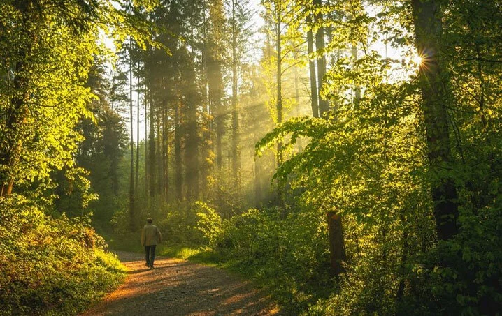 Rustomjee Ashiana Forest Walk